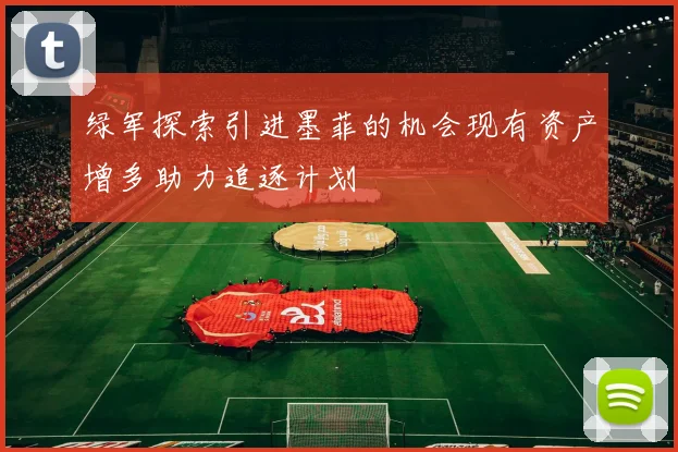 绿军探索引进墨菲的机会现有资产增多助力追逐计划